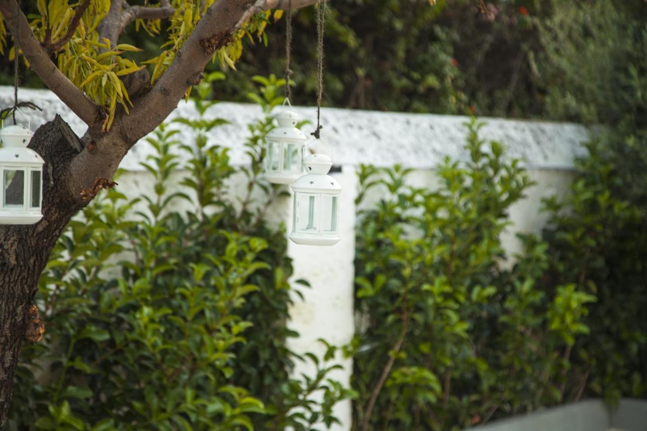 Villa Adelaide Suite & Room Torre A Mare Exteriér fotografie